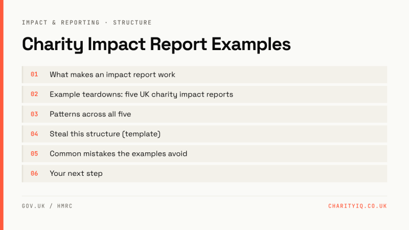 Charity Impact Report Examples
